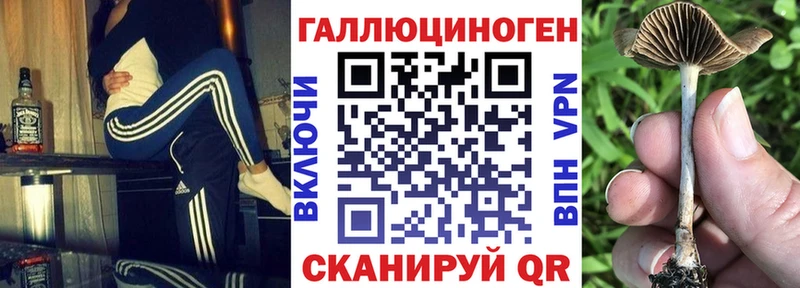купить наркотики цена  Белогорск  Псилоцибиновые грибы Psilocybine cubensis 